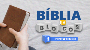 Home capa plano de leitura biblica biblia em blocos denis figueiredo youversion blog